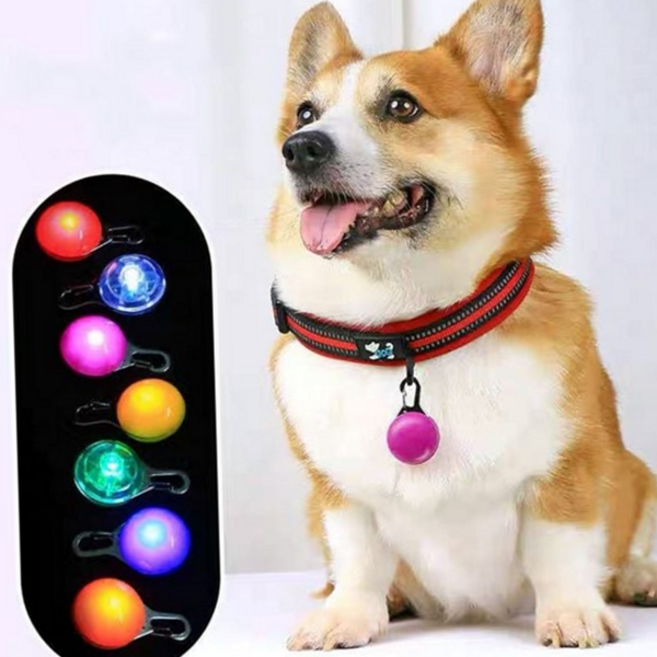 반려견 목걸이 펜던트 산책용 라이트 안전등 강아지 목걸이 펜던트 발광 액세서리 야간 강아지산책, 색상 랜덤 3p