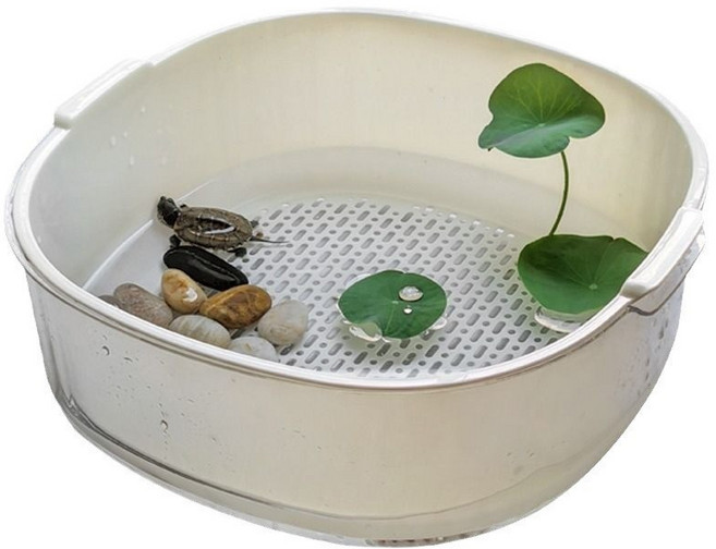 거북이 물갈이 이중 수조 반수생 사육장 올챙이 어항, 1개, 2.5L