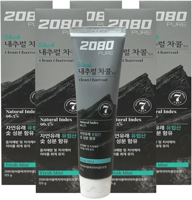 2080 퓨어 블랙 차콜민트 치약, 5개, 125g
