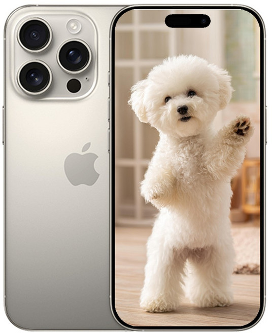 i폰16 Pro 새상품 미개봉, 256GB, 옵션명 아이폰 내추럴티타늄