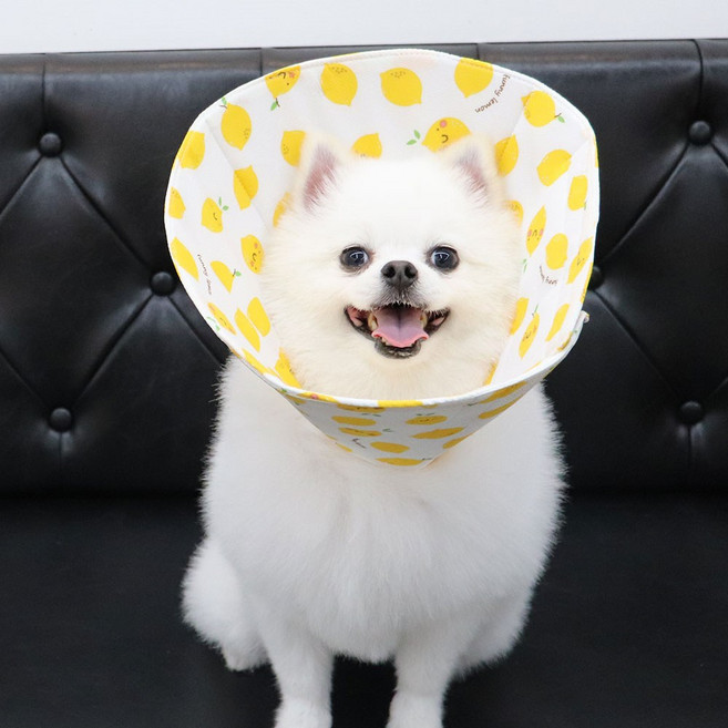 펫케어솝 인견 넥카라노랑M, 1개