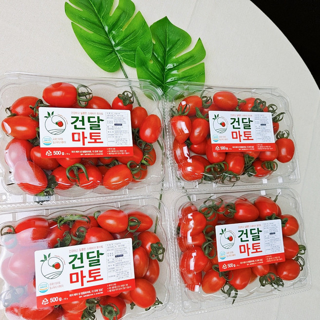 스테비아 방울토마토 샤인마토 단마토 대추방울토마토, 스테비아 방울토마토 1kg, 1개