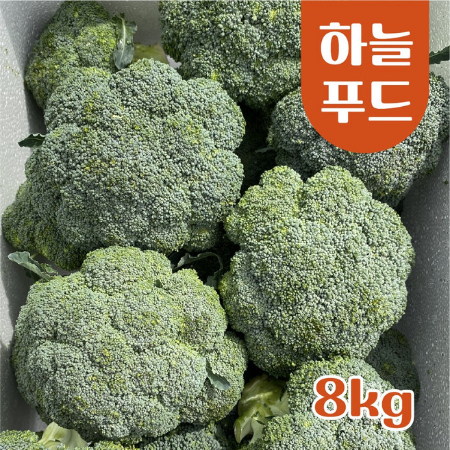 (8kg/Box) 수입 브로콜리 브로컬리 식자재[원산지:중국], 8kg/Box, 1개