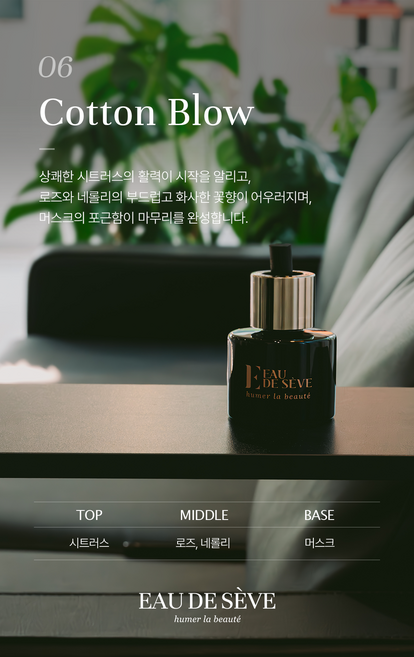 오드세브 자동차 디퓨저 수입 차량용 디퓨저 외제차 방향제 본품 선물 세트(방향제120ml + 선물용쇼핑백 + 뚱섬유스틱 + 롱섬유스틱 +시향지5종), 1세트, 코튼블로우