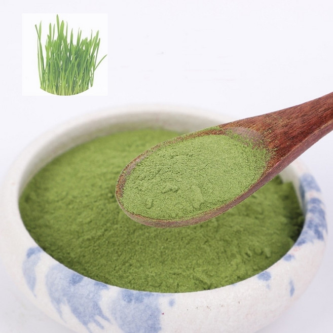 새싹귀리추출분말 100g 샘플, 1개, 단품