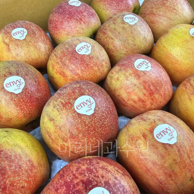 엔비사과정품 envy사과 맛있는사과 예산사과 상품 잘해서 보내드립니다, 5kg, 1박스, 5kg