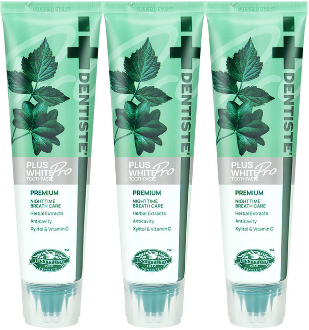덴티스테 치약 튜브, 60g, 3개