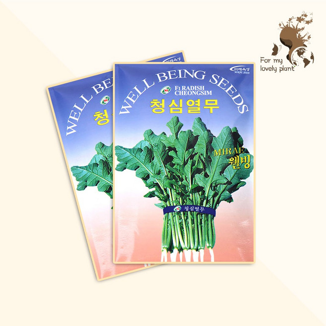 청심열무 25g 미래종묘 잎채소류 씨앗, 1개