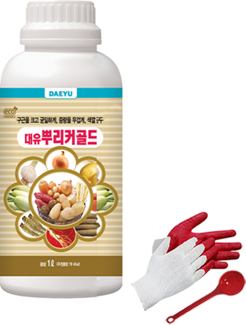 대유 뿌리커골드 구근 뿌리 크고 무겁게 비대 감자 고구마 양파 당근 무, 1개, 1L