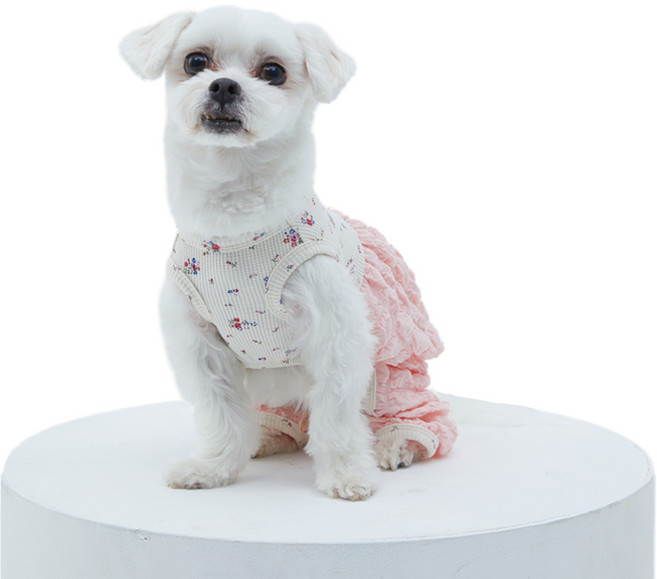 아벡시앙 펌킨바지 올인원 점프수트 강아지 실내옷 반려견의류, 핑크, 1개