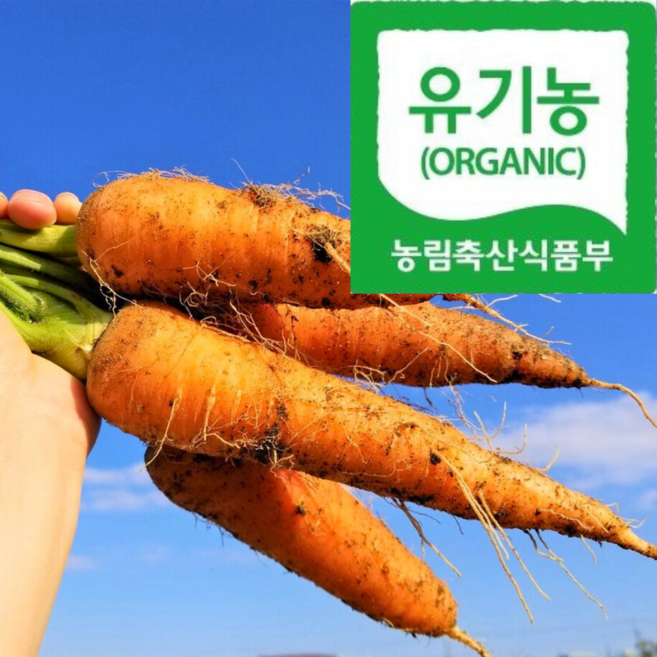 [유기농장인] 명품유기농 믿고먹는 주스용 흙당근, 1박스, 5kg(주스용)