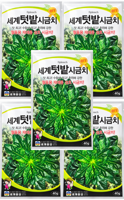 세계텃밭시금치 씨앗 40g 추위에 강한 월동용 재래종 섬초 시금치 종자 세계종묘, 5개