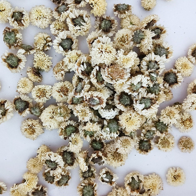 日生元 杭菊 75g 批發 手摘白菊 手摘黃菊 新杭菊, 1個, 白菊