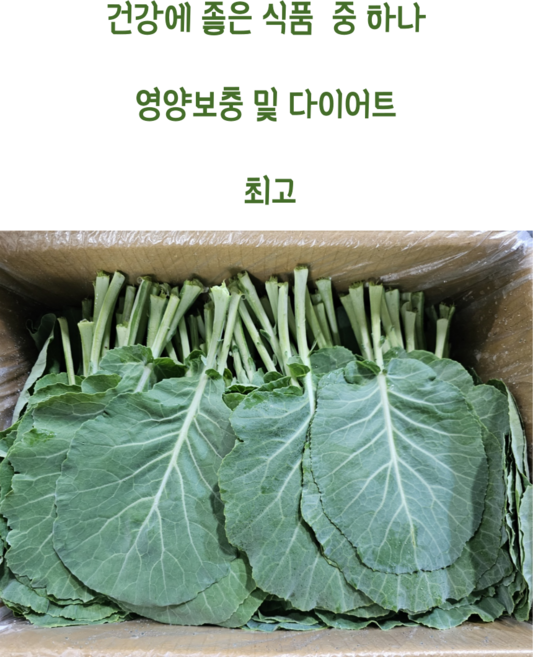 [임가네농산] 케일 국내산 케일 케일1박스 쌈용 쌈케일 2KG 특수야채 케일, 1개