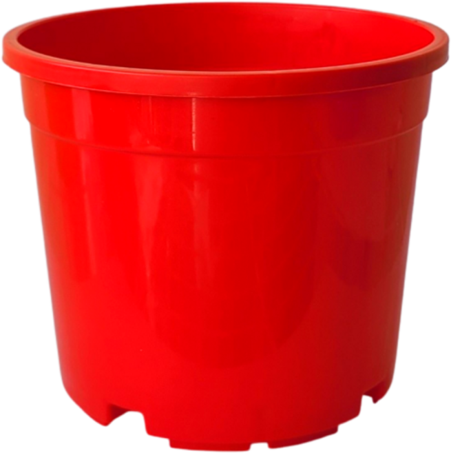 컬러포트 플라스틱 pp 화분 7색, 빨강