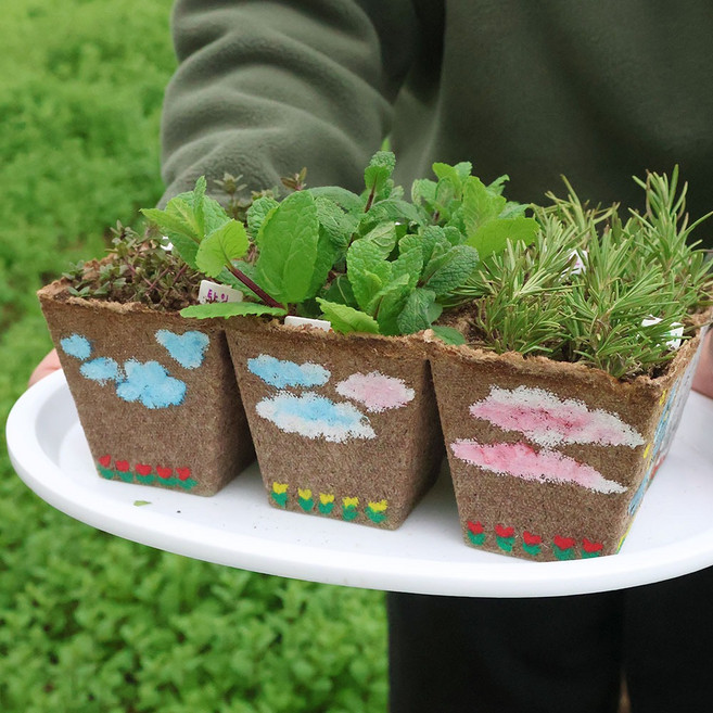 허브 화분 만들기 키트 (사각화분 6개 제작 가능)