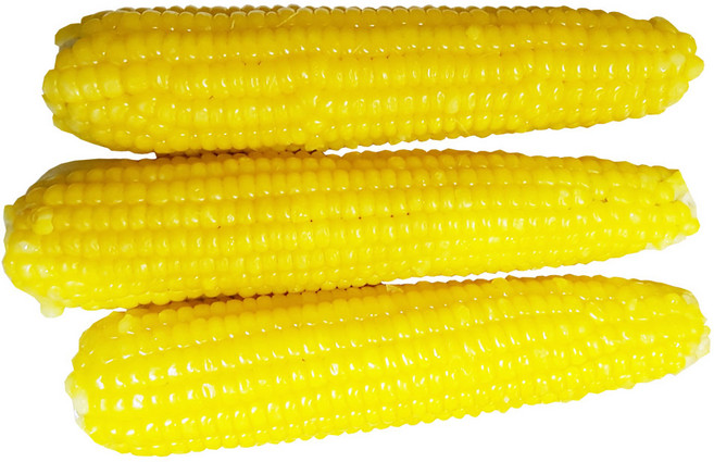 조은상사 황찰옥수수 20개 노란옥수수 중국산자숙 황찰특대, 1박스, 황찰특대 20개6kg