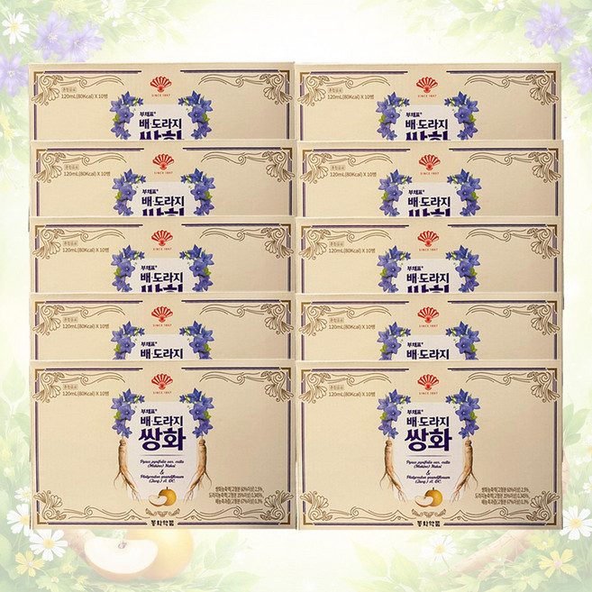 동화약품 부채표 배 도라지 쌍화 100병 드링크 혼합음료 대추 당귀 비타민c, 1개, 120ml