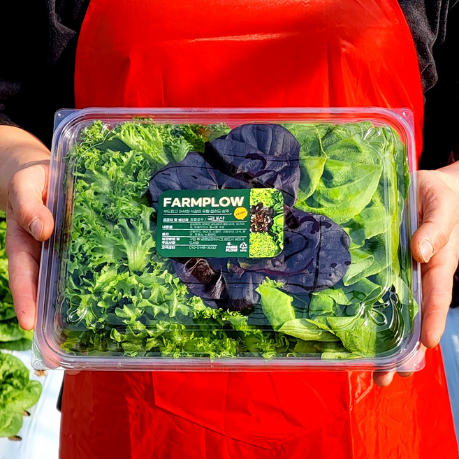 샐러드맛집 다이어트식단 샐러드믹스 5~6종 이상 야채믹스 프레시한팩 2팩 포케샐러드 만들기, 2개, 250g