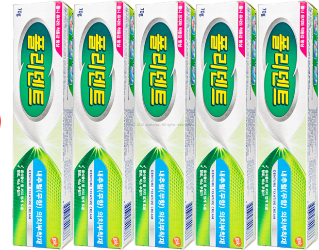 폴리덴트 틀니 부착재 70g 내추럴 무향, 5개