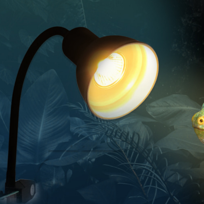 아마존 자바라 소켓, 집게형, 블랙