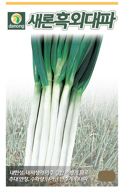 (DN) 새론흑외대파 씨앗(400g), 1개