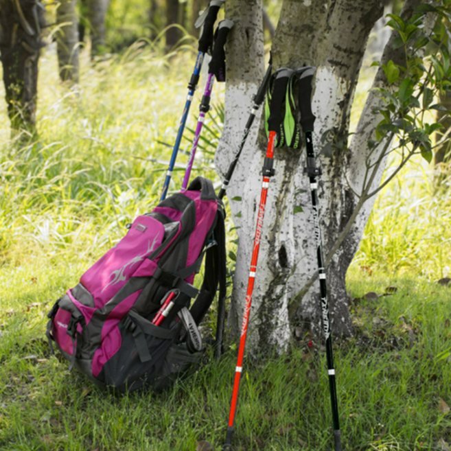 업라이프 초경량 접이식 5단 TR L 등산스틱 간편한 휴대 듀랄루민 남녀공용 길이조절 폴대 스틱 지팡이, 1개, TR L 레드