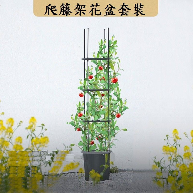 爬籐架花盆 黃瓜番茄攀爬支架 爬藤植物支架 茄子豆角四季豆小黃瓜豆架, 1個, 1套裝