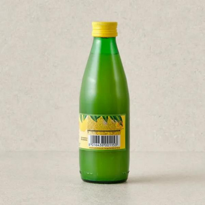 CJ 유로푸드 레몬쥬스 250ml 2개