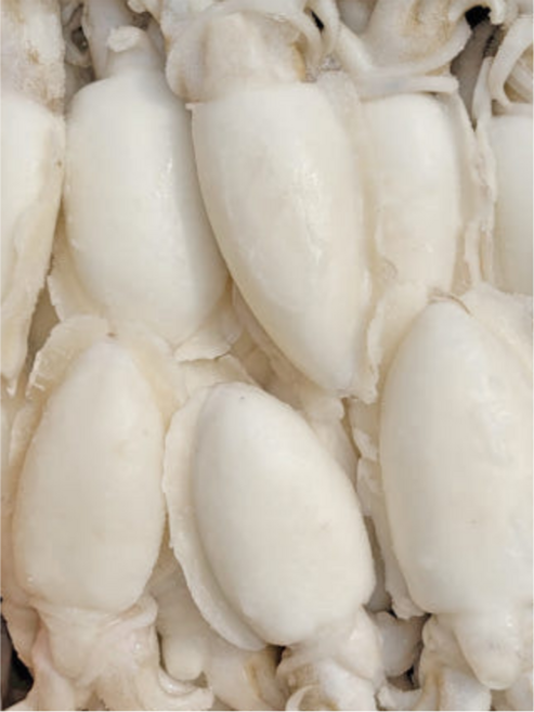 갑오징어 홀클린 5kg 숙회 해물짬뽕 벌크, 1개