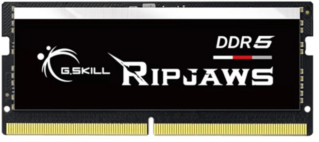 [G.SKILL] 노트북용 DDR5 PC5-38400 CL40 RIPJAWS [16GB] (4800), 선택하세요, 1개
