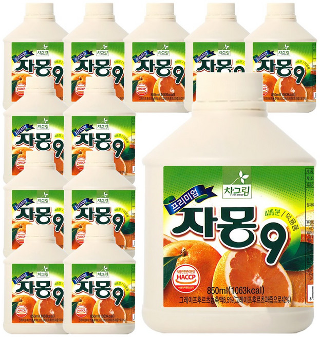 차그림 과일 원액 프리미엄 자몽 9 쥬스, 12개, 850ml