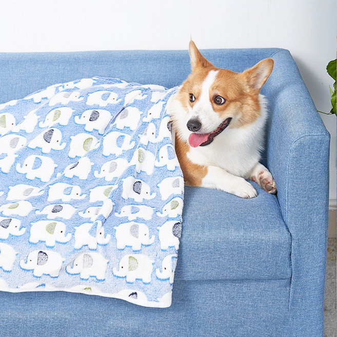 포시럽 강아지 담요 코끼리, 블루, 2개