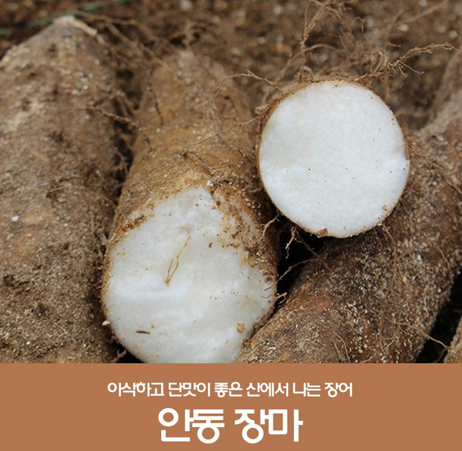 산지직송 안동마 햇마 안동장마 마 생마 장마, 1박스, 알뜰 5kg