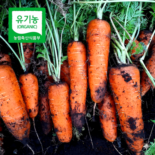 국내산 유기농 햇 당근 흙당근, 1박스, 1kg(유기농 흙당근)