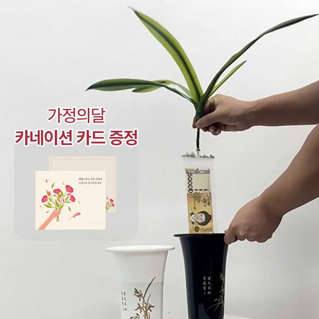 [어버이날]돈뽑는 난초 용돈박스 반전 부모님 생신 칠순 환갑 선물 설날 추석 용돈, 1개, 옵션