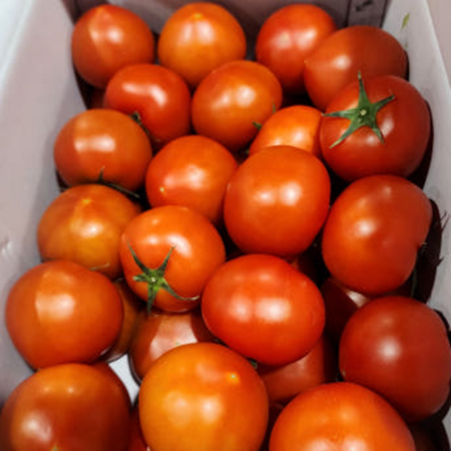 새콤달콤팜 완숙 찰 토마토 주스 쥬스용 2.5kg 5kg, 1개, 쥬스용랜덤과5kg