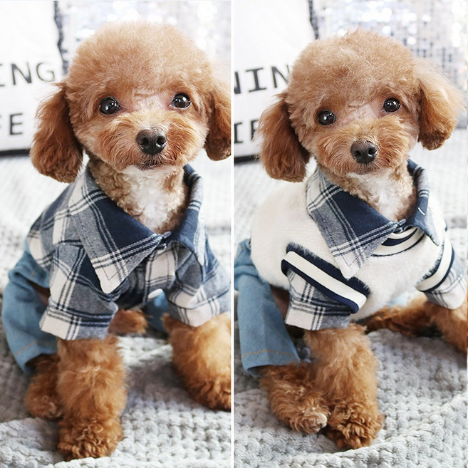 트레이닝복 솜털 올인원 빨간 빨간강아지 티치 코키비 밀크 경묘 리플렉션