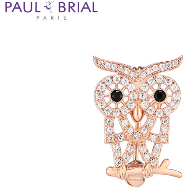 [폴브리알] PYBH0089 PG 블랙 부엉이 브로치