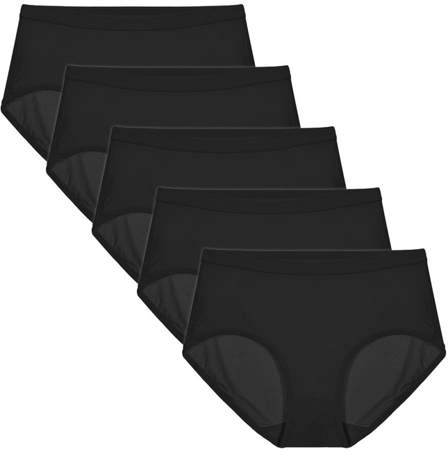 엘라운지 인바디 쿨메쉬 하이컷 팬티 5매세트