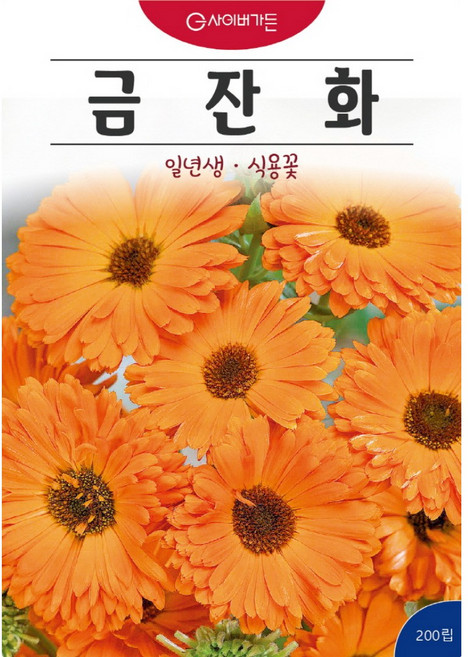 (씨앗) 다양한 식용가능한 꽃씨 - 8종류 중 1종 - 소포장 - 재배용 씨앗 종자, 금잔화, 1개