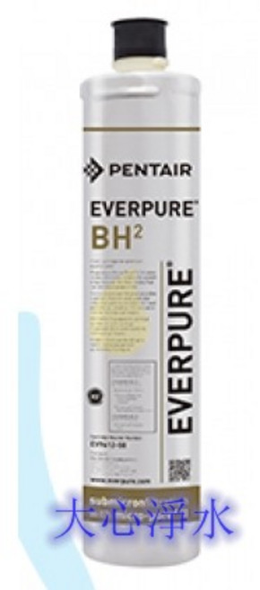 EVERPURE BH2 愛惠浦濾心, 1個