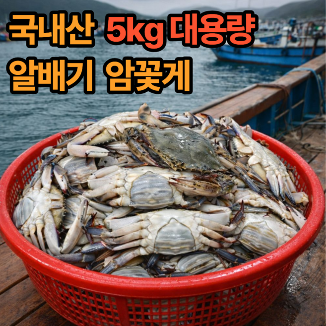 [서해안직송] 선동급냉 알배기 암꽃게 게장용, 1개, 5kg