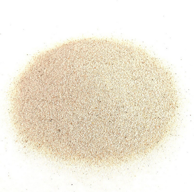 그릿업 코리도라스 바닥재 샌드 청소물고기 팬더코리도라스 모래 장식용 수족관 고운, 1개, 1_나일강 모래 1kg 0.5mm