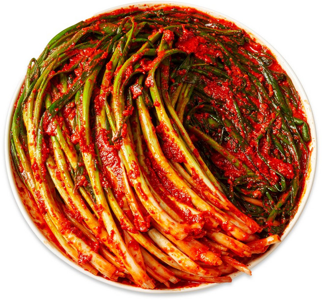 맛장군 오늘담근 파김치, 1개, 2kg