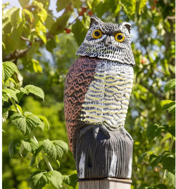 버드킬러 베란다 조류퇴치 목 회전 올빼미 실외기 허수아비 대체