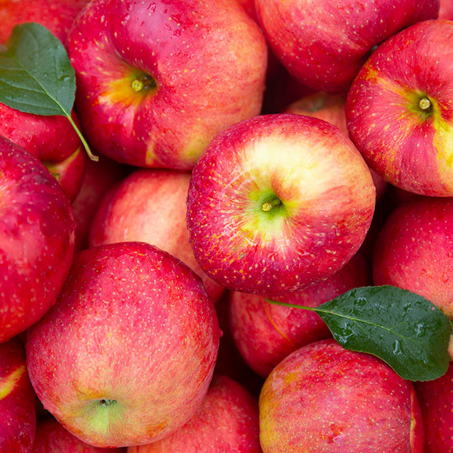 껍질째먹는 고당도 꿀 부사사과 사과, 1개, 5kg 중과