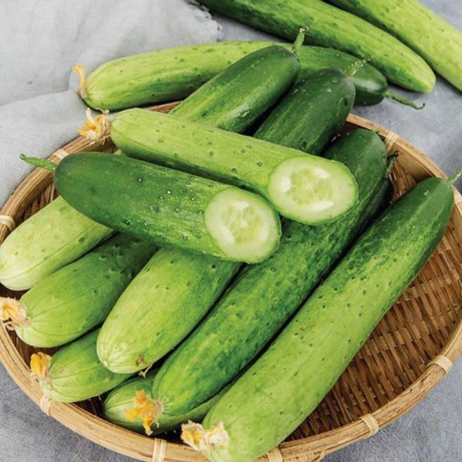 아삭아삭 신선한 국내산 백오이
