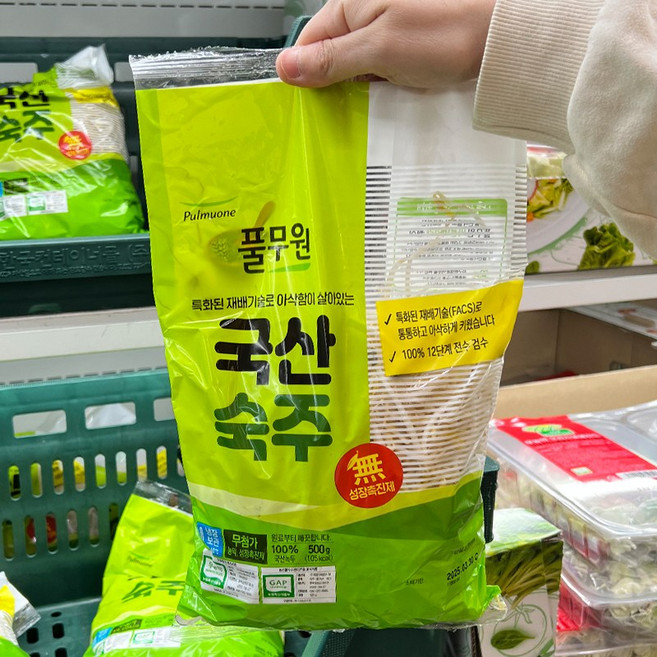 트레이더스 풀무원 국산 무농약 숙주나물 500g, 1개
