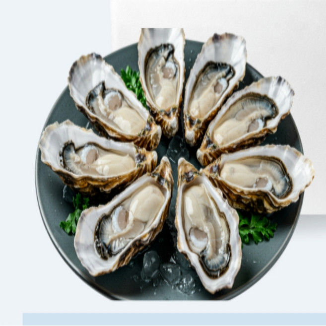 9위 - 프리미엄 통영 자연산 바위굴 3kg 4kg, 1개